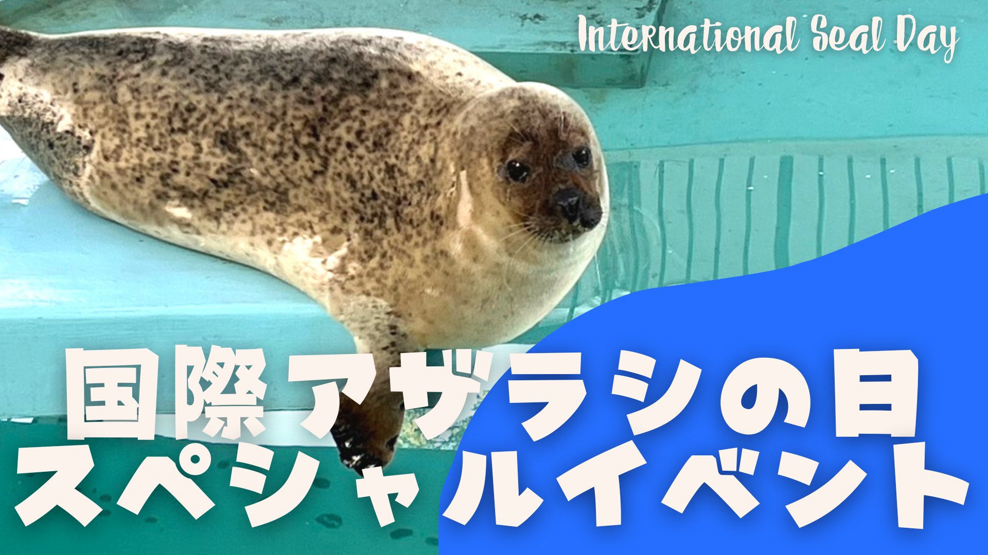 🦁 오무타시 동물원(오무타시 도부쓰엔) 이미지 9